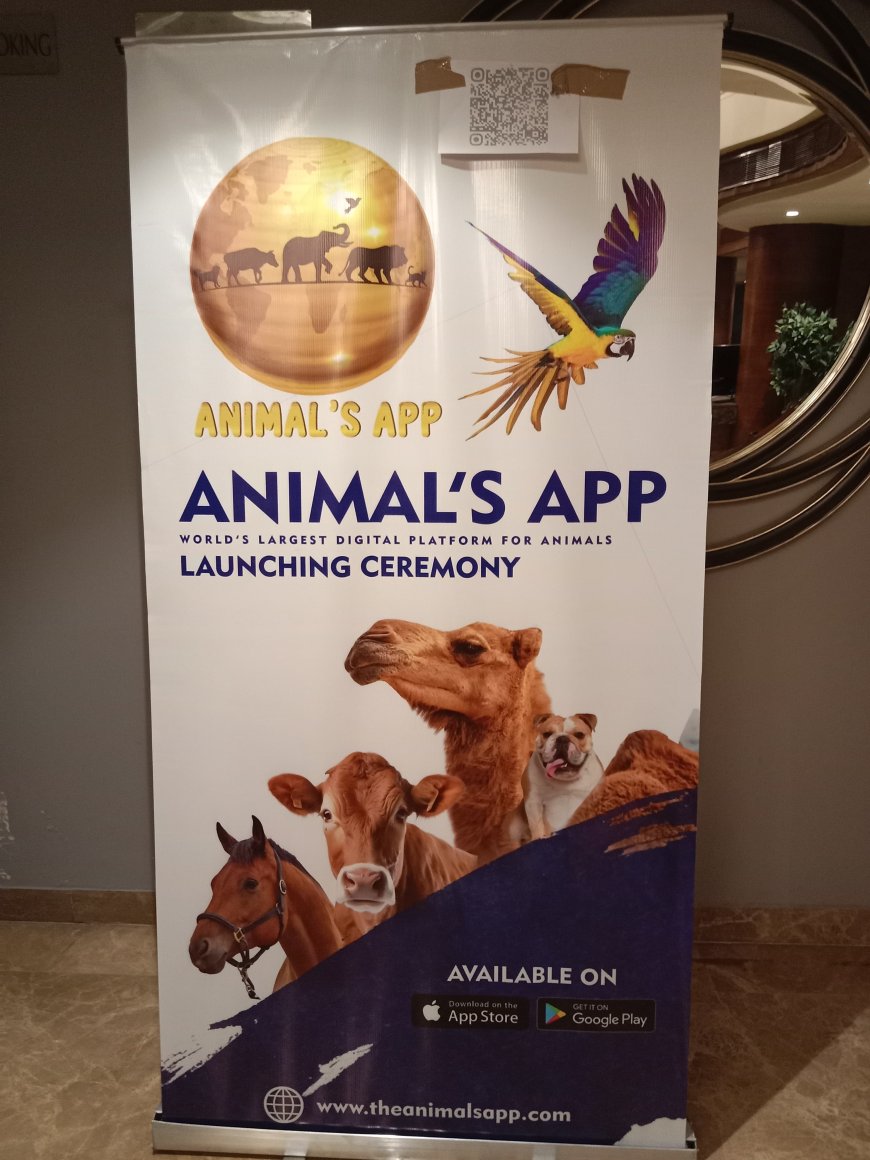 Animal's App: Revolutionising Pet Care In India