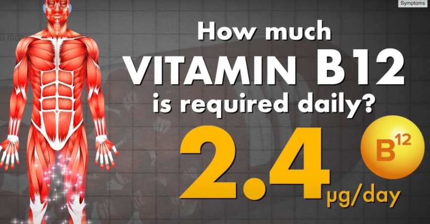 vitamin b12 deficiency diseases