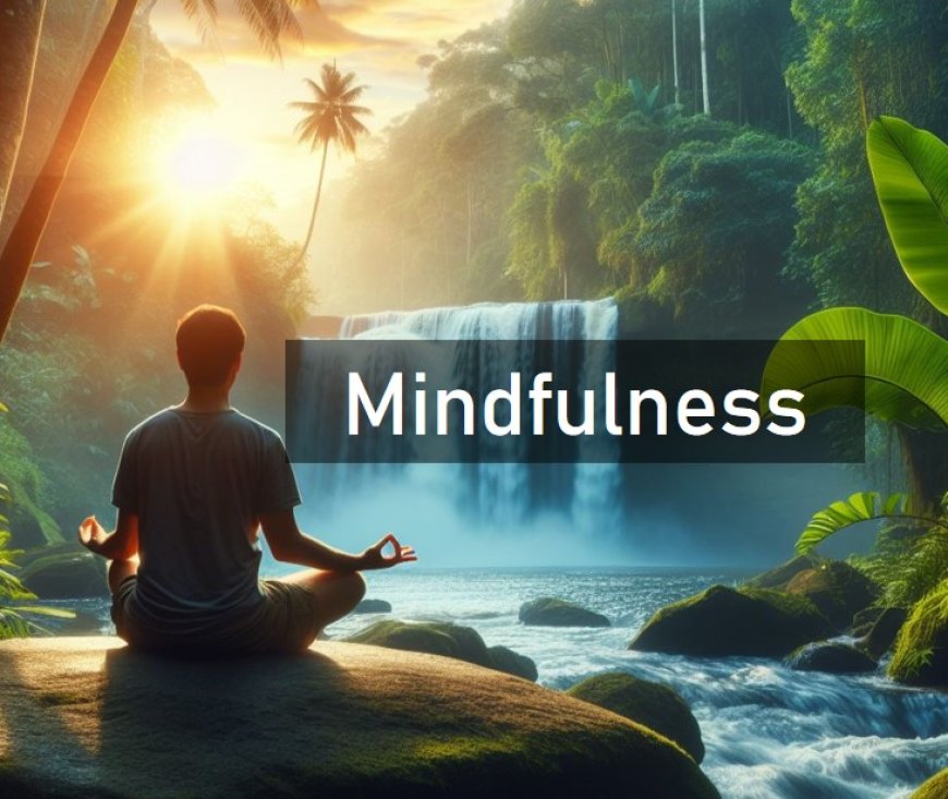 Mindfulness-:  Our "X factor"