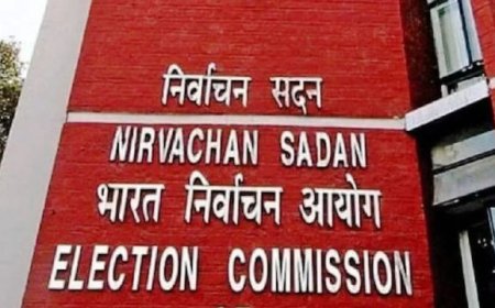 Election Results Of All Seats Declared