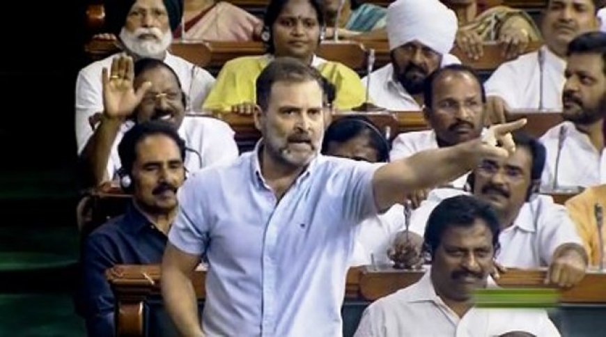 Some remarks expunged, Rahul Gandhi fumed