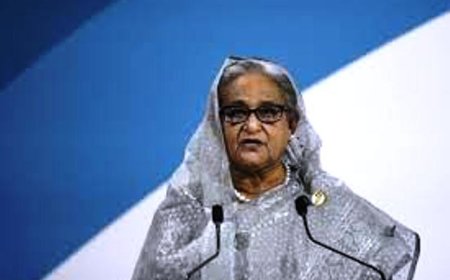 Sheikh Hasina to stay in India: Want to give her time-Jaishankar