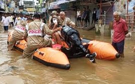 Heavy rains wreak havoc across eastern Rajasthan