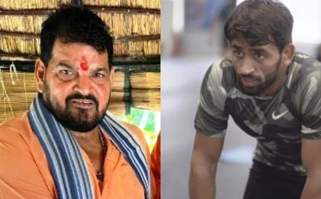 Brij Bhushan Digs At Vinesh Phogat, Bajrang Punia Hits Back