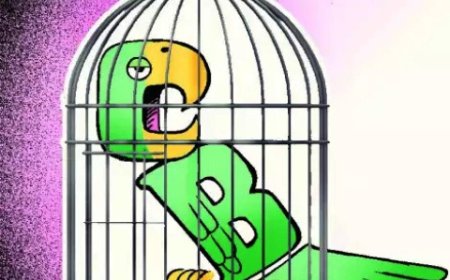 'Caged Parrot' Tag Returns To Haunt CBI 