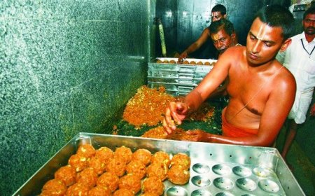No Effect On Tirupati Laddoos sale: 14 Lakh Sold In 4 Days