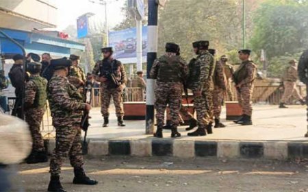 Grenade attack at Sunday market in Srinagar, 12 injured