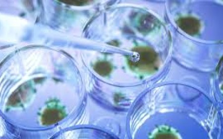 Scientist treats her stage-3 cancer using lab-grown viruses