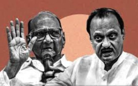 'Find Your Own Identity, Don’t Use Uncle Pics': SC To Ajit Pawar