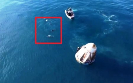 Sunita Williams greeted by Dolphins