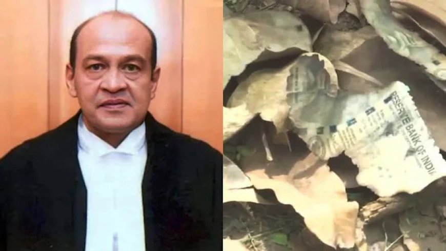 Few Burnt Notes Also Found Near Judge Yashwant Varma’s Residence 