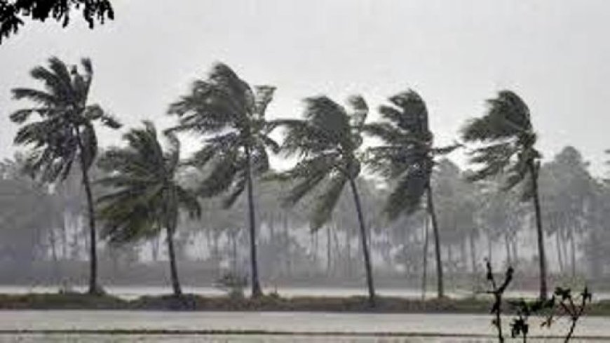 Monsoon arrives in Kerala 8 days before schedule