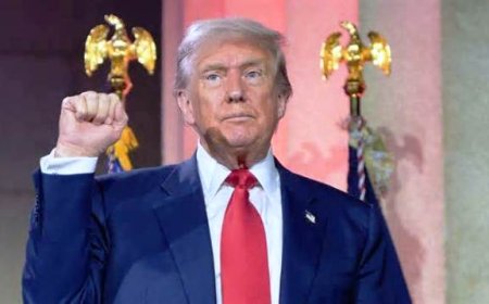 ‘Stop tech hiring in India’: Donald Trump tells Google, Microsoft