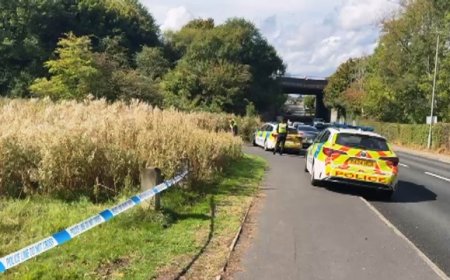 Sikh Woman Raped In UK, Told "Go Back To Your Country"