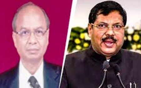 CJI rules out action after lawyer tries to throw shoe at him